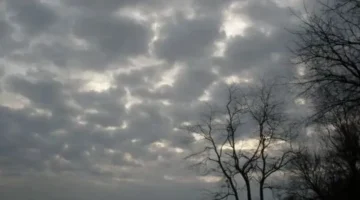 تقلبات حادة.. الأرصاد تحدد موعد بدء تساقط الأمطار في المحافظات والقاهرة